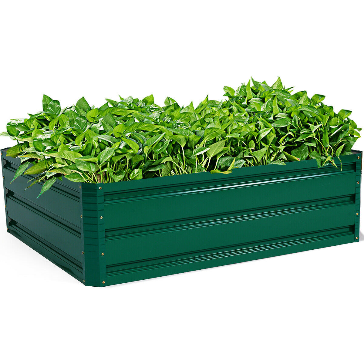 Steel Raised Garden Bed for Vegetables and Flowers
