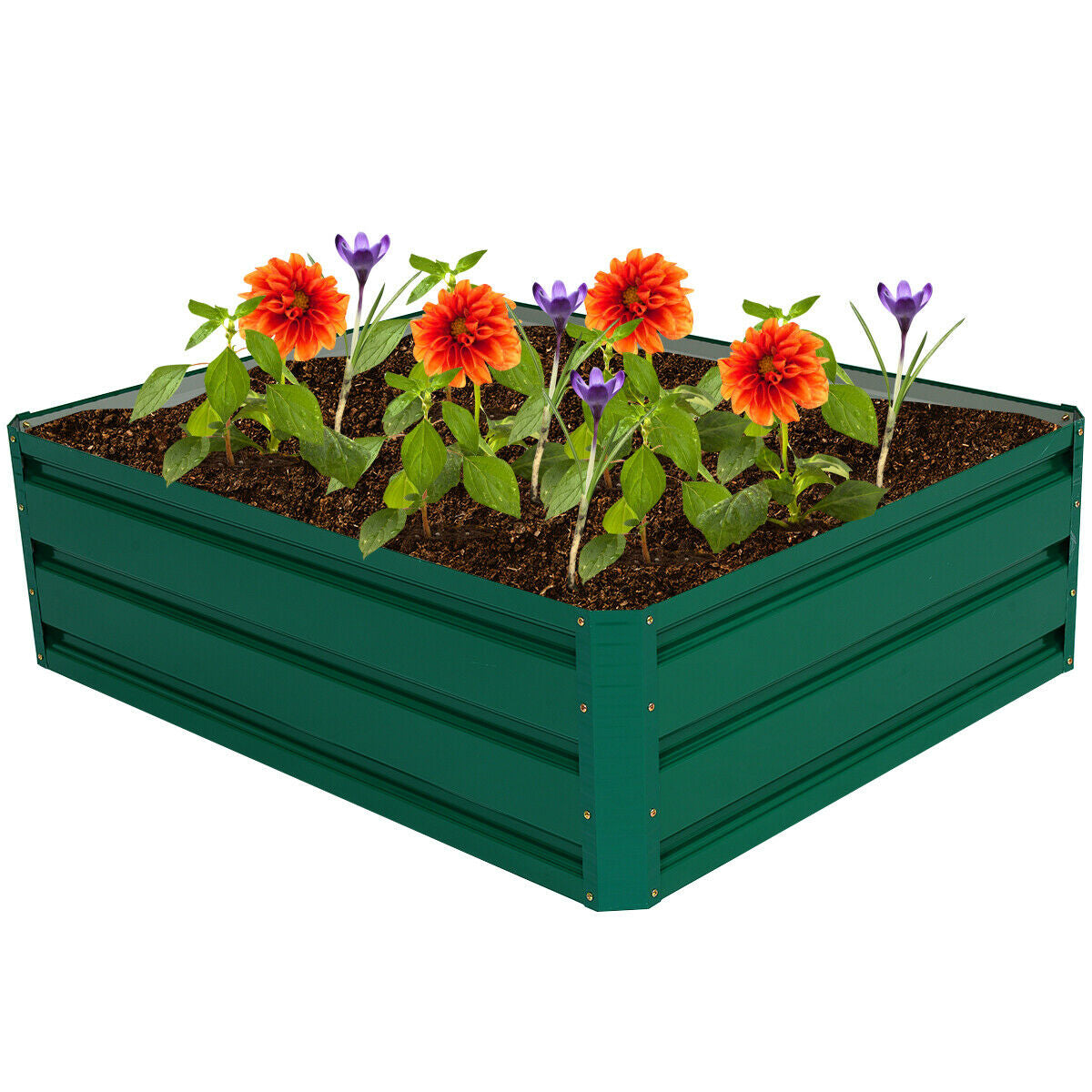 Steel Raised Garden Bed for Vegetables and Flowers